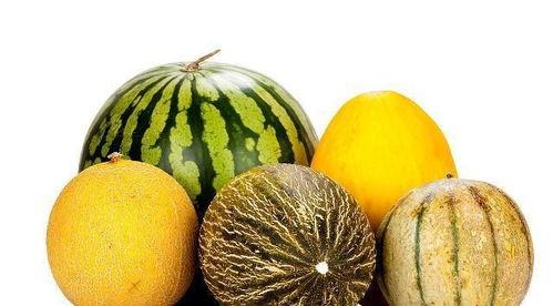 雷总超大杯吃瓜