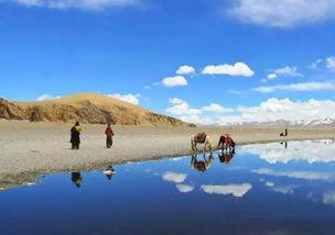 西藏旅游吃瓜,探寻高原美食的独特风味