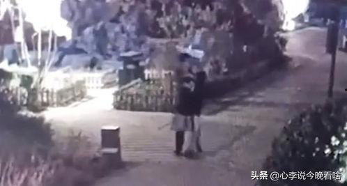 吃瓜老头原视频,一场网络红人的崛起与争议